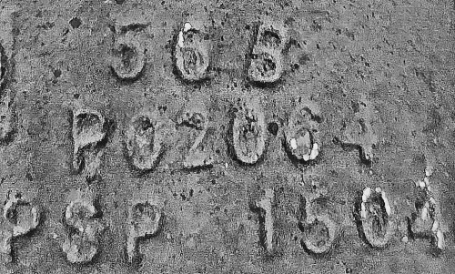 25_processed.jpg