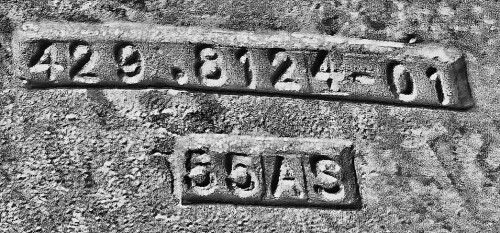 48_processed.jpg