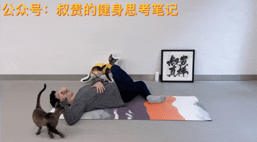 640-8.gif