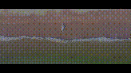 lv_0_20251031174407.gif