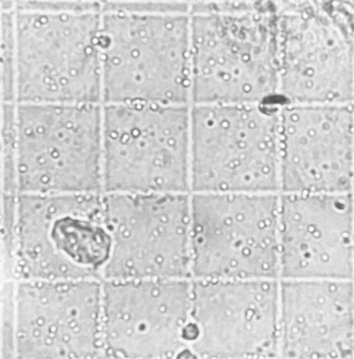 IMG_6820.jpeg