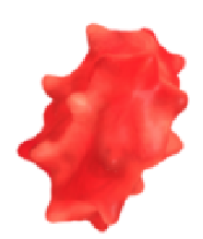 2f3f453ccb3734bef.png