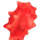 2f3f453ccb3734bef