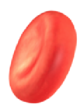 3790de2b4cebbbede.png
