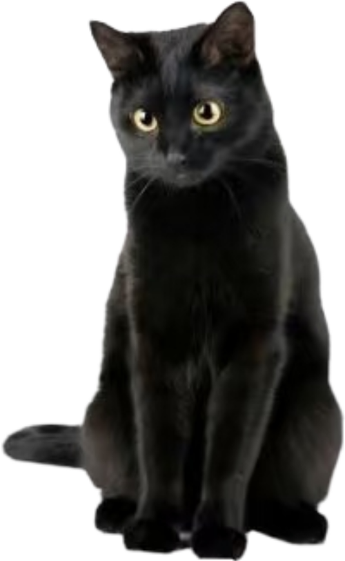 765af27297b37f38995f927e9c9bdec4.png
