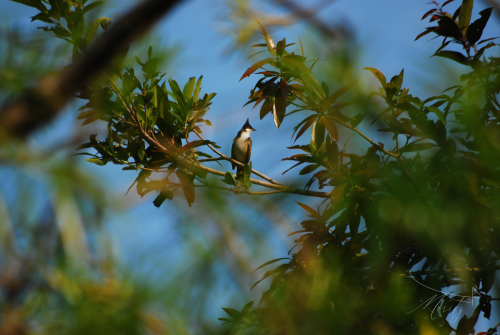 DSC_7875.png