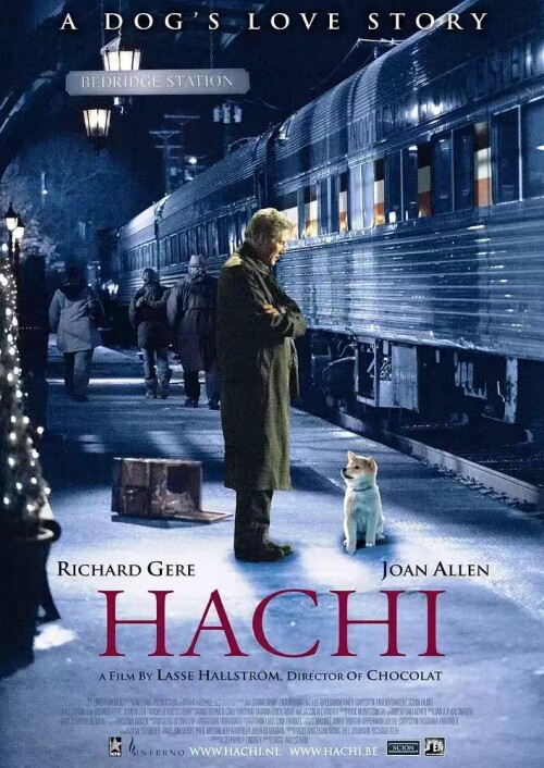 hachi