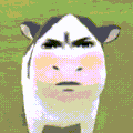 d1baee3de9ad4228b0450551eba69de0.gif