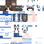 CSJ.png