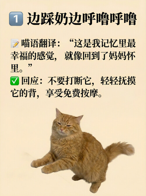 page1.jpg