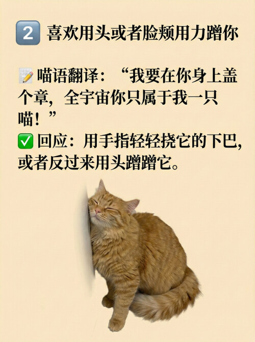 page2.jpg