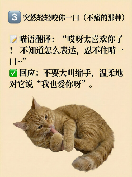 page3.jpg