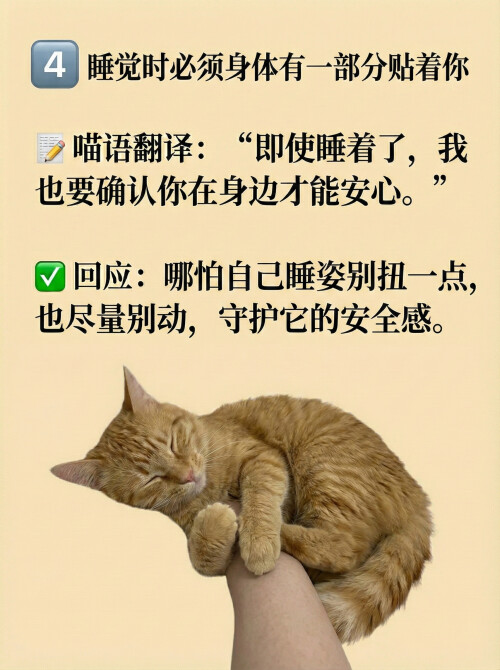 page4.jpg