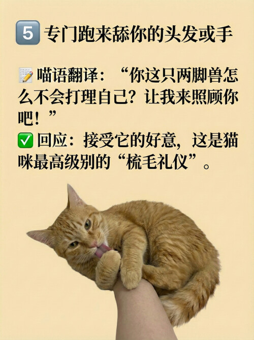 page5.jpg