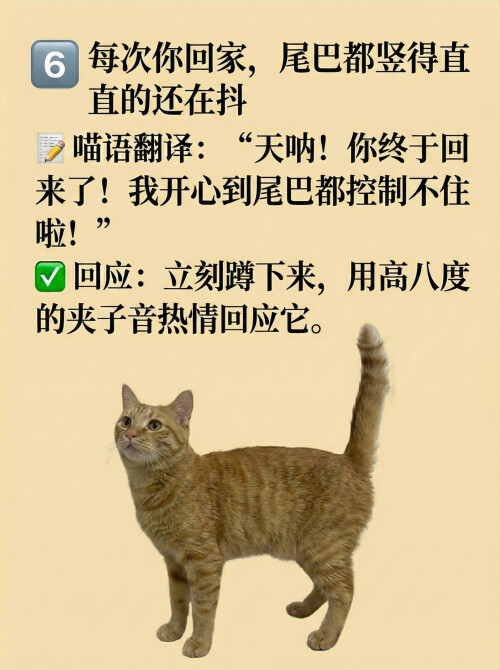 page6.jpg