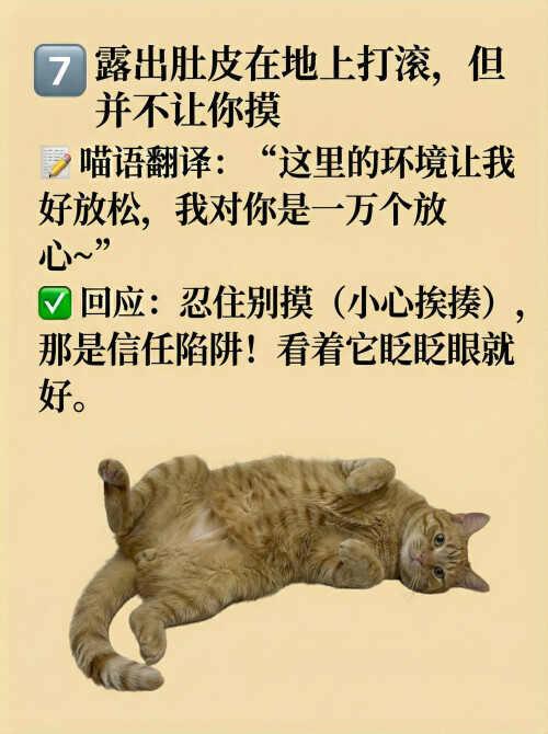 page7.jpg