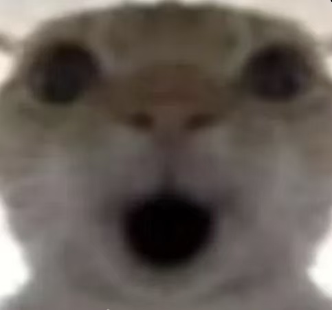 _bb4ff80c3ff07bd0.jpg
