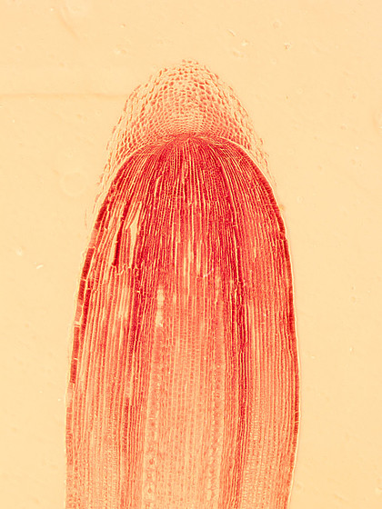 4fd08d895cc674c74966048692d671fd.jpg