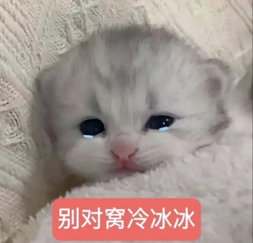 Screenshot_20251225_231439.jpg
