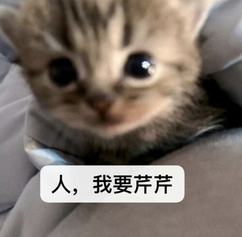Screenshot_20251225_231452.jpg