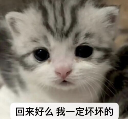 Screenshot_20251225_231516.jpg