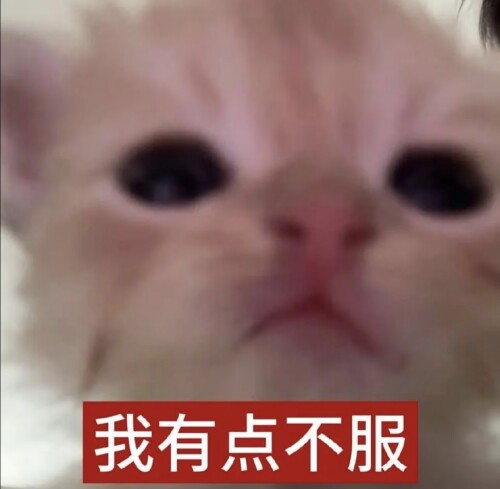 Screenshot_20251225_231543.jpg