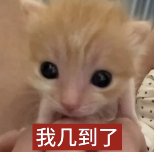 Screenshot_20251225_231752.jpg