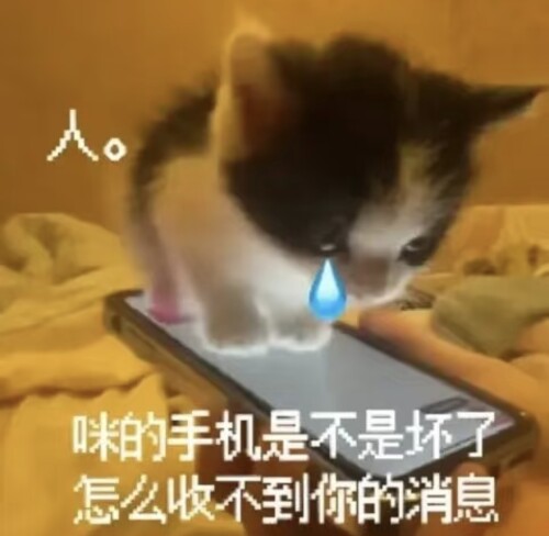 Screenshot_20251225_232034.jpg
