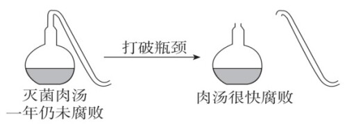 question_101_microscope4968d46a6b5c61c9.jpg