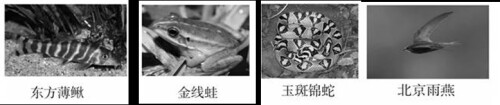 question_117_microscope0c2ba5351baf8ff4.jpg