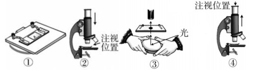 question_12_microscope9f6ff64ed8c56edf.jpg