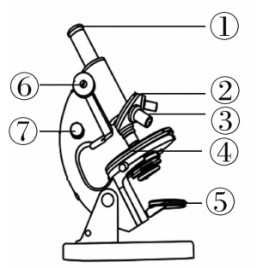 question_15_microscopead37d4342932245e.jpg