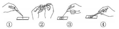 question_19_microscope25b2dbd9d3ce07a0.jpg