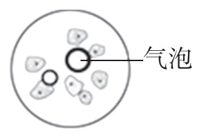 question_25_microscopedd03828b2031b85f.jpg