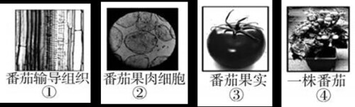 question_57_microscopeb87afc8498181af6.jpg