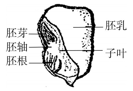 question_68_microscopee5bfb98a14803544.jpg