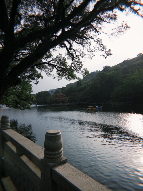 05.jpg