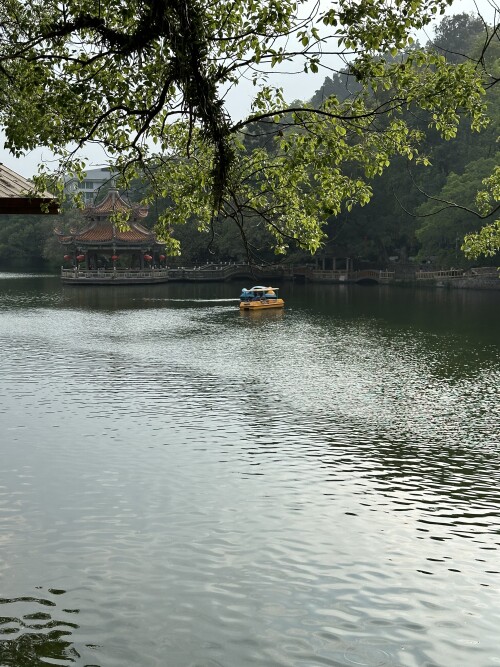 06.jpg