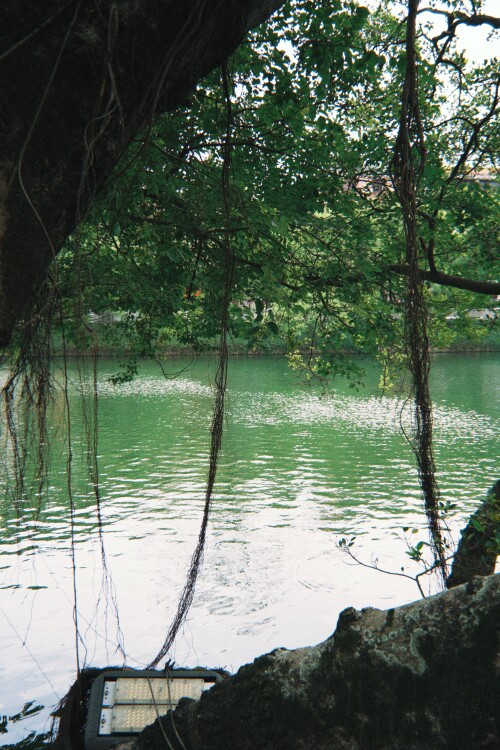 08.jpg