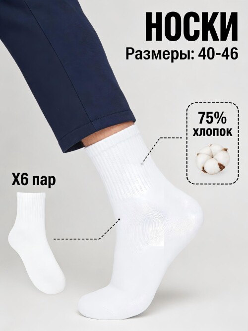 _2.jpg