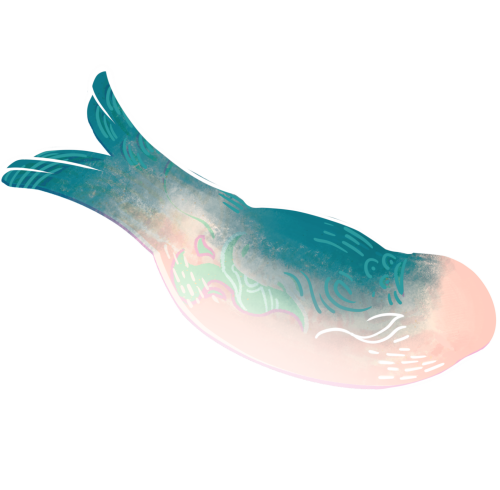 -5-14f48c9231e0da18f.png