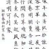 016138f57fc73296626