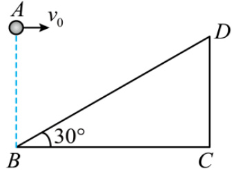 20c52bde1dc6a6721a359dd40af1674e576f3fea7613048bf3758b90ebec6123.jpg