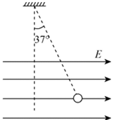 4d1251981fdb386ed5269cfa2dfa703e1334d2390bb7bf9e0ed2436dd8ed8cba.jpg
