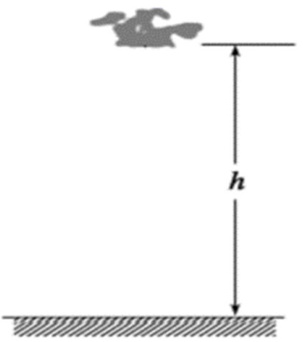 5e07788abd377824b7b4b48b30b15fb829c70d1afe99b4f3f5cb2beb4be236b7.jpg