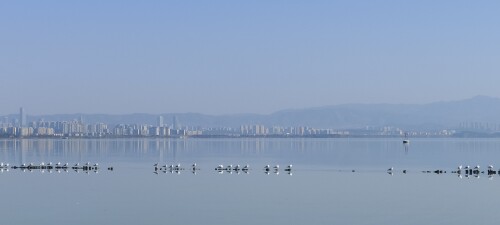 8544b59e5488cf6b7.jpg