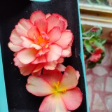 IMG_20240817_171112
