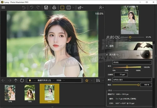 50.webp