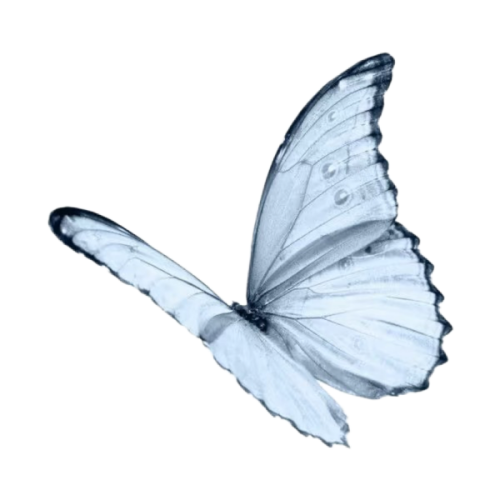 _20260207173956_22_57.png