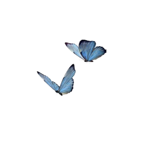 _20260207173958_24_57.png